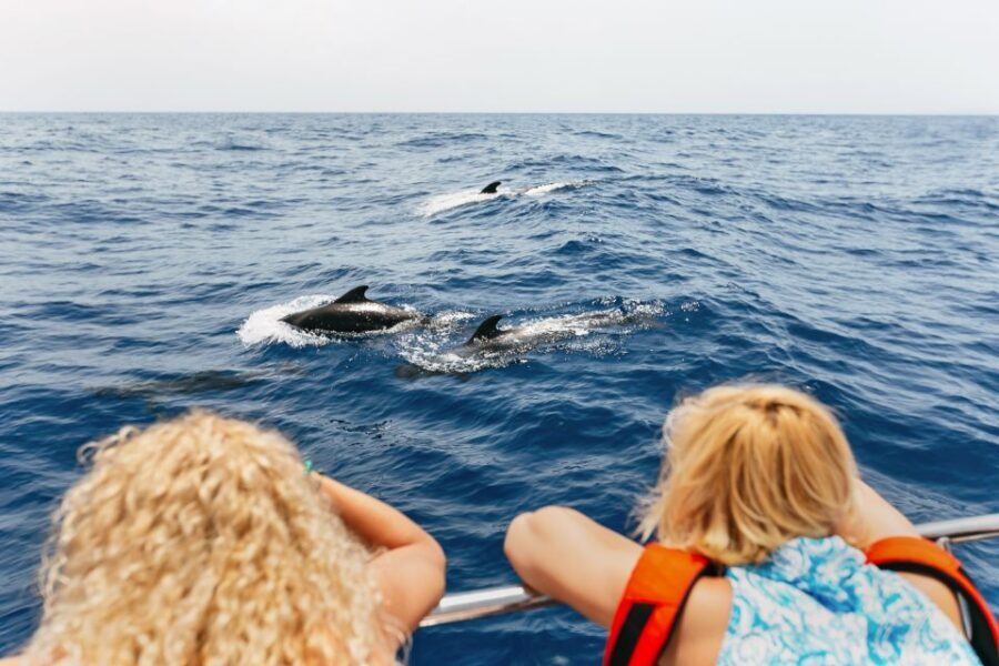 Costa Adeje: Whale Watching Catamaran Tour with Drinks - What Makes This Tour Stand Out?