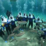 Costa Teguise : Underwater Sea Trek Experience - How Does It Work?