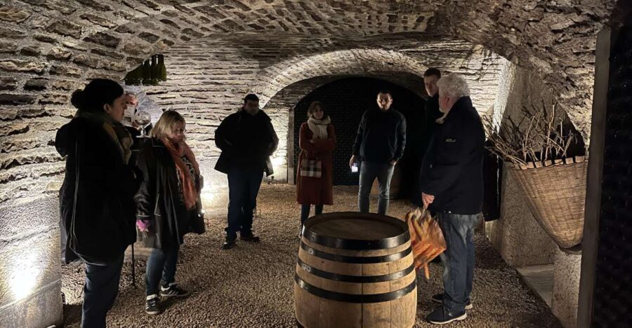 Côte de Beaune Private Local Wineries and Wine Tasting Tour - What Makes This Tour Stand Out?