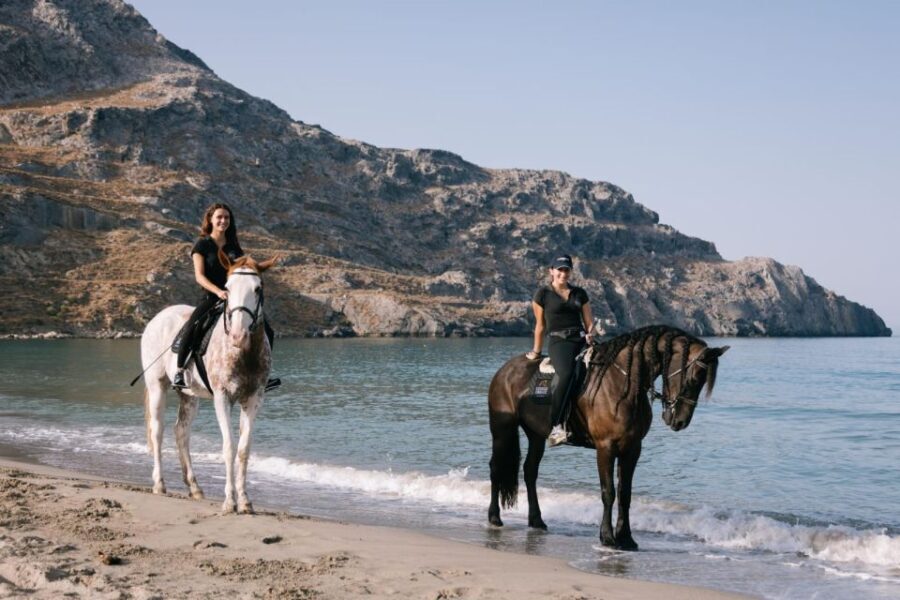 Crete Horse Riding: Plakias Beach Ride - Authentic Feedback from Past Participants