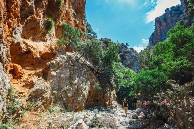 Crete: Kritsa Gorge Hike with Picnic & Swim Stop - What’s Included—and What’s Not
