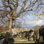 Dark Stories of Edinburgh: walking tour in French - Who Should Take This Tour?