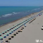 Day Tour to Fier  Discover Albanias Historical Heart - The Itinerary Breakdown