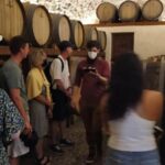 Day Trip to Santorini From Athens - The Value and Practicalities