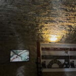 Dégustation de vins au Caveau Délicave - The Value of the Experience