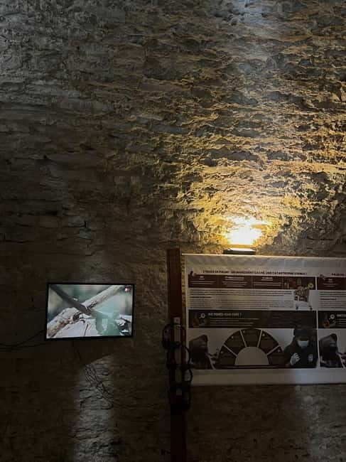 Dégustation de vins au Caveau Délicave - The Value of the Experience