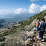 Delphi: Ancient Footpath Guided Hike - Practicalities and Tips