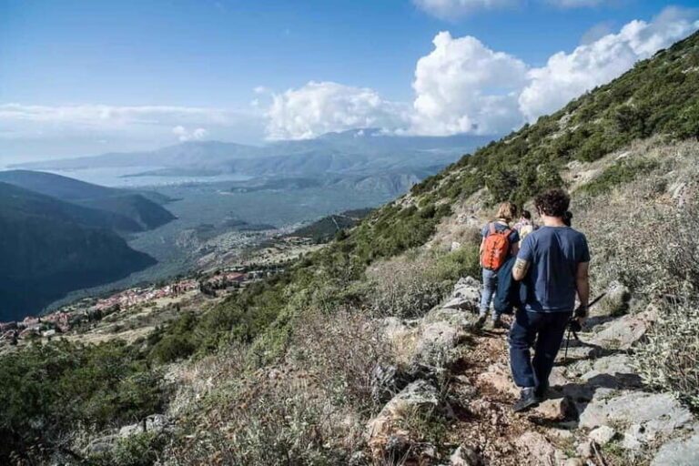 Delphi: Ancient Footpath Guided Hike - Practicalities and Tips
