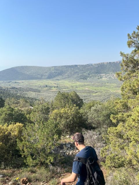 Delphi: Easy Hike from the Monastery to the Mycenaean tomb - What We Loved and What to Consider