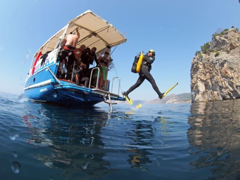 Didim: Scuba Diving Experience w/Hotel Pickup & Lunch - What We Think About the Price and Overall Value