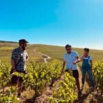 Dijon/Beaune: Full day Ebike Burgundy tour, tastings & lunch - Detailed Breakdown of the Itinerary