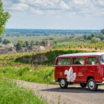 Dijon: Burgundy Small-group Vintage Van Tour - Final Thoughts