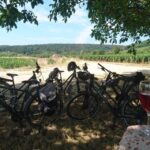 Dijon: Half-Day Guided Gourmet Bike Tour - The Value of the Tour