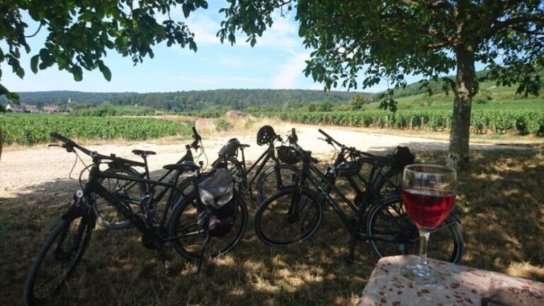 Dijon: Half-Day Guided Gourmet Bike Tour - The Value of the Tour