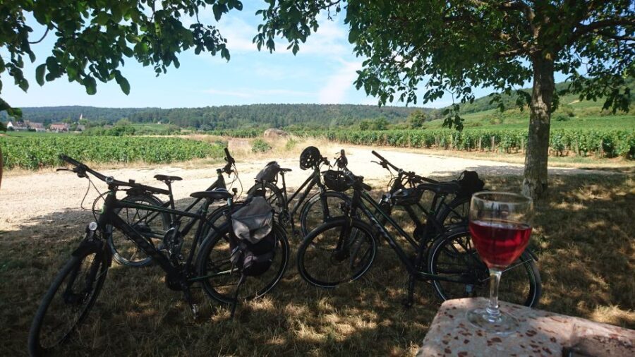 Dijon: Half-Day Guided Gourmet Bike Tour - The Value of the Tour