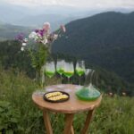 Dilijan Woodland Feast - The Sum Up