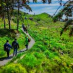 Discover Haugesund and visit a local mountain farmer - Analyzing the Value and Suitability