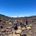 Discover Mount Teide and the Arenas Negras volcano on an intimate tour from the north. - What to Expect and Practical Tips