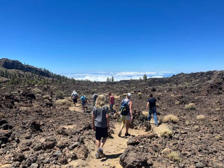 Discover Mount Teide and the Arenas Negras volcano on an intimate tour from the north. - What to Expect and Practical Tips