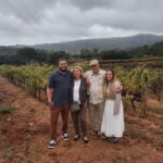 Discover Setúbal´s Secrets: Wine, Culture and Arrabida Magic - Exploring the Historic Heart of Setúbal