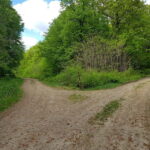 Discover the Charm of Guteria Hill/Sibiu Panorama - The Historic Tower and Its Stories
