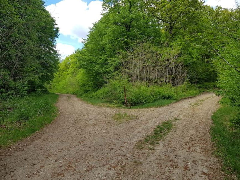 Discover the Charm of Guteria Hill/Sibiu Panorama - The Historic Tower and Its Stories