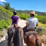 Discover the interior of Valencia on horseback - The Picnic and Local Flavors