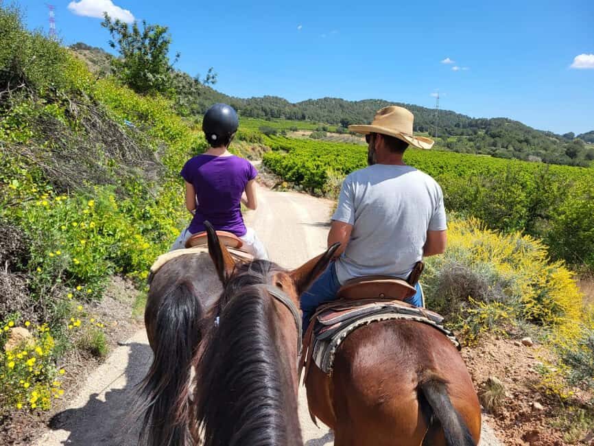 Discover the interior of Valencia on horseback - The Picnic and Local Flavors