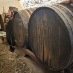 Discover the island of Santorini in six hours with locals - Who will love this tour?