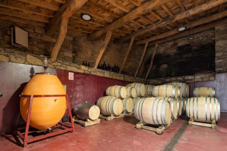 Discover the Ribeira Sacra with a unique wine experience! - What You Can Expect During the Visit