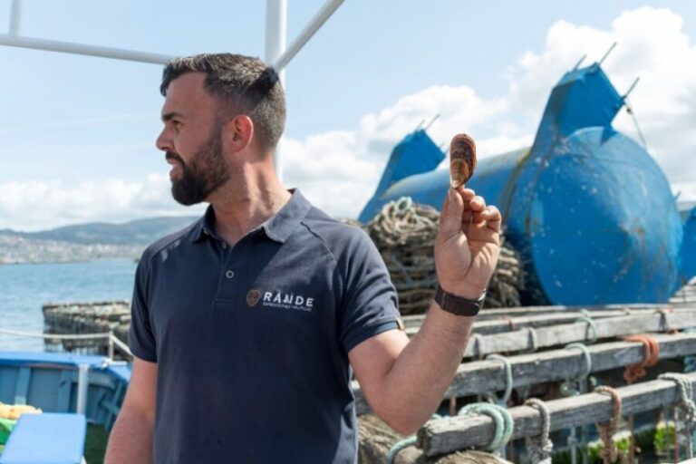 Discovering Vigo ria and mussels in the traditional boat - The Value: Is It Worth It?