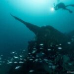 Dive the U-boat 1277 - the Most Iconic Dive in Portugal - Equipment and Guides