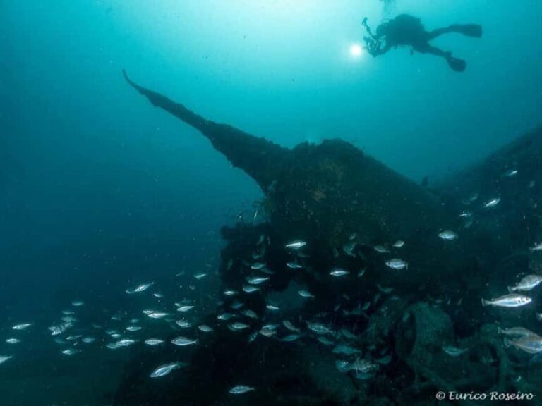 Dive the U-boat 1277 - the Most Iconic Dive in Portugal - Equipment and Guides