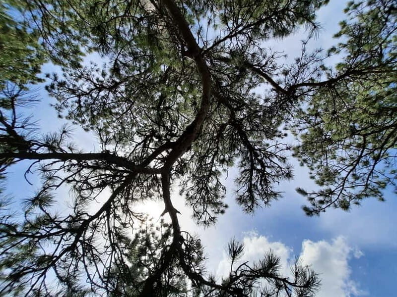 Divibare: Follow the Sun Hiking Tour - What Makes This Tour Special?