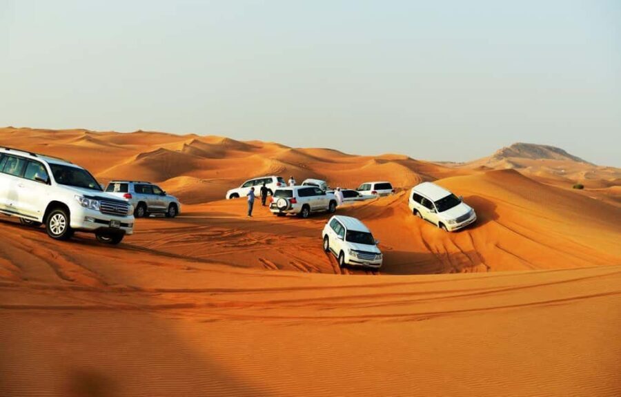 Doha: Beaches visit with Dune Bashing and SandBoarding - Authentic Insights from Reviewers