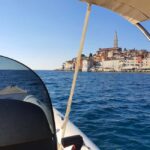 Dolphin safari every evening - Who Is This Tour Best For?