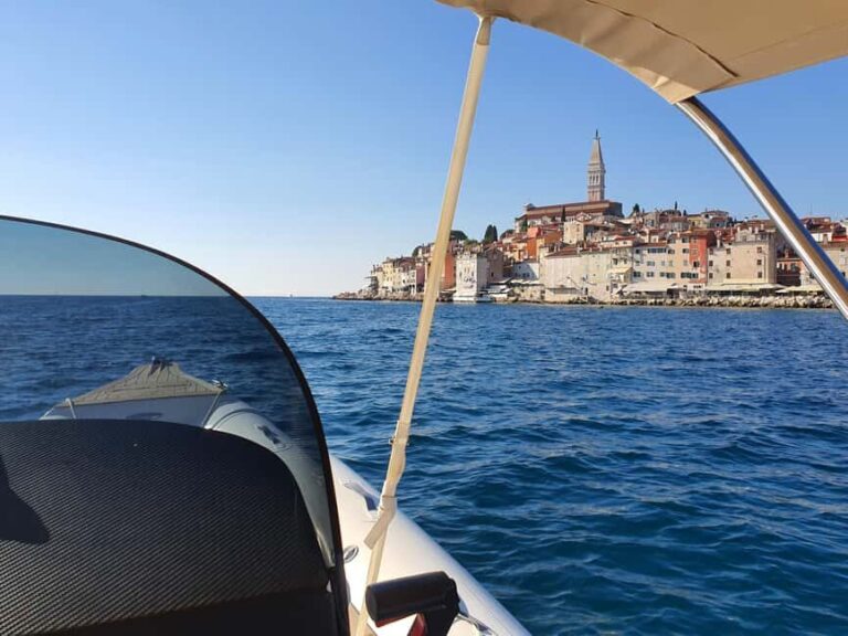 Dolphin safari every evening - Who Is This Tour Best For?