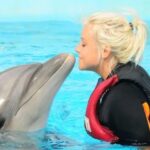 Dolphin Show Tour with Transfer from Alanya & Side - The Reality of the Experience