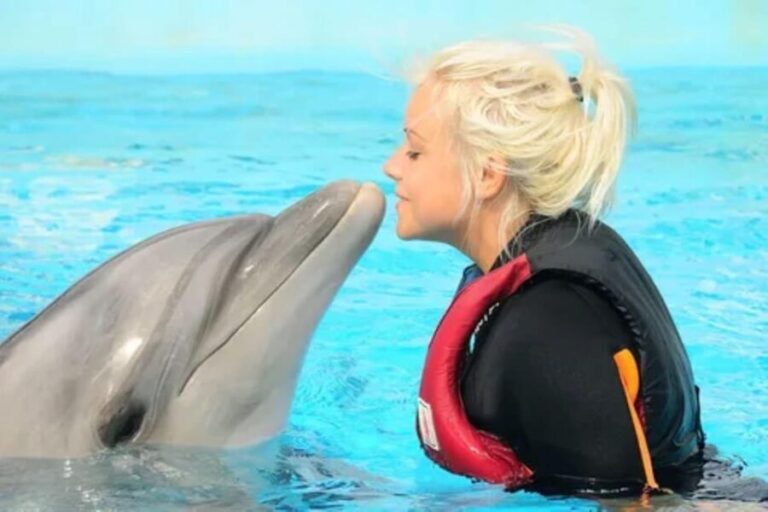 Dolphin Show Tour with Transfer from Alanya & Side - The Reality of the Experience