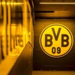 Dortmund: BVB Signal Iduna Park Stadium Walk - Who Should Consider This Tour?