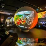 Dortmund: German Football Museum - Who Is This Tour Best For?