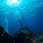 Double dive in Santa Maria Island - Azores - Detailed Breakdown of the Itinerary