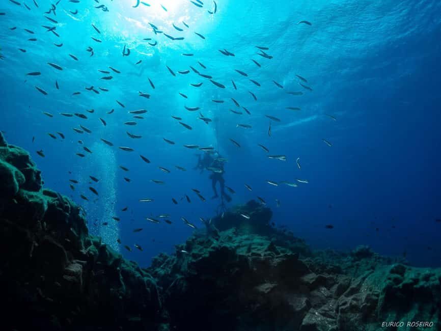 Double dive in Santa Maria Island - Azores - Detailed Breakdown of the Itinerary