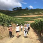 Douro from Porto: adventure ride with walk and local lunch - Why Choose This Tour?