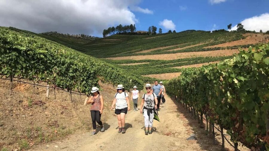 Douro from Porto: adventure ride with walk and local lunch - Why Choose This Tour?