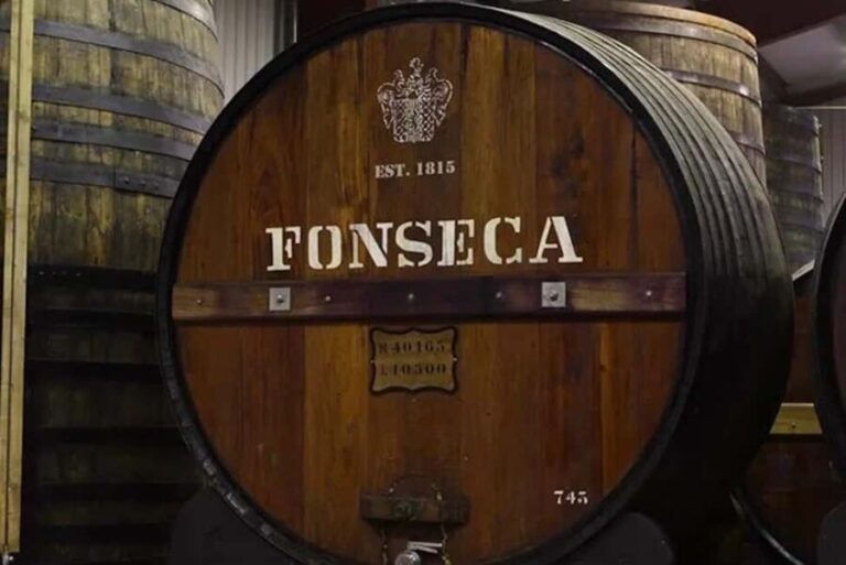 Douro from Porto: vintage tasting in a secret wine estate - Final Thoughts: Who Should Book This Tour?