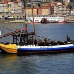 Douro River Cruise with Port Tasting and Lunch - A Closer Look at the Experience