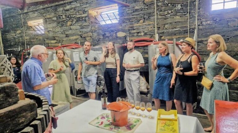 Douro Valley-Expert Guide-Boat-Lunch-Tastings PremiumService - Why This Tour Offers Great Value