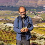 Douro Valley: Provesende and São Cristóvão Guided Hike - Deep Dive into the Details: Why This Tour Works