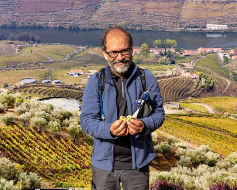 Douro Valley: Provesende and São Cristóvão Guided Hike - Deep Dive into the Details: Why This Tour Works